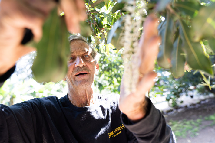 How this North Shore farmer is keeping agriculture alive in Haleʻiwa