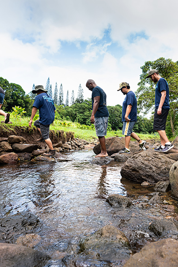 stormwater education