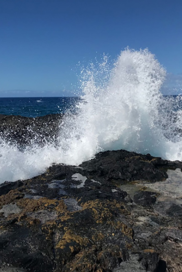 ahupua'a accelerator