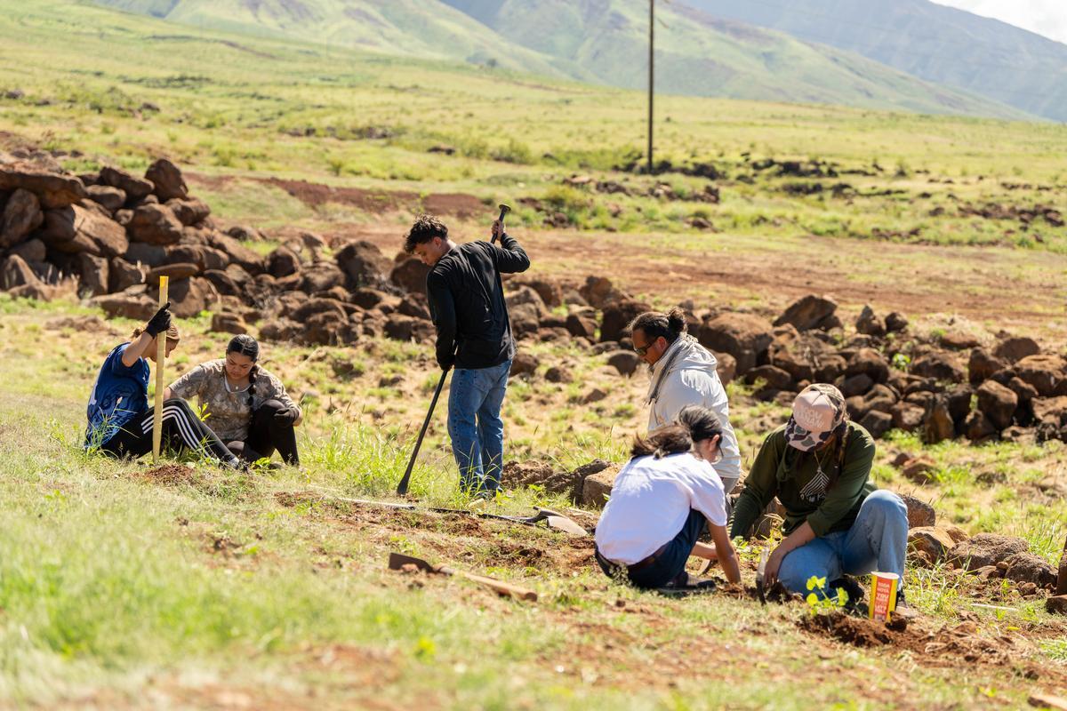 haumāna at Ke Kula ʻo Kamehameha